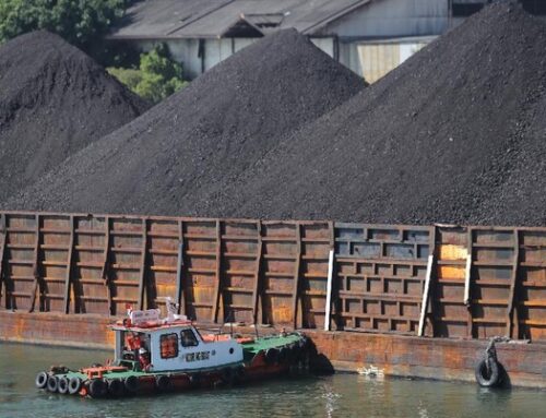 MIP Batu Bara Penting Dibentuk Walau Harga Turun, Ini Alasannya