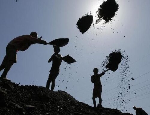 Reposisi Batubara dalam Era Energi Hijau Indonesia